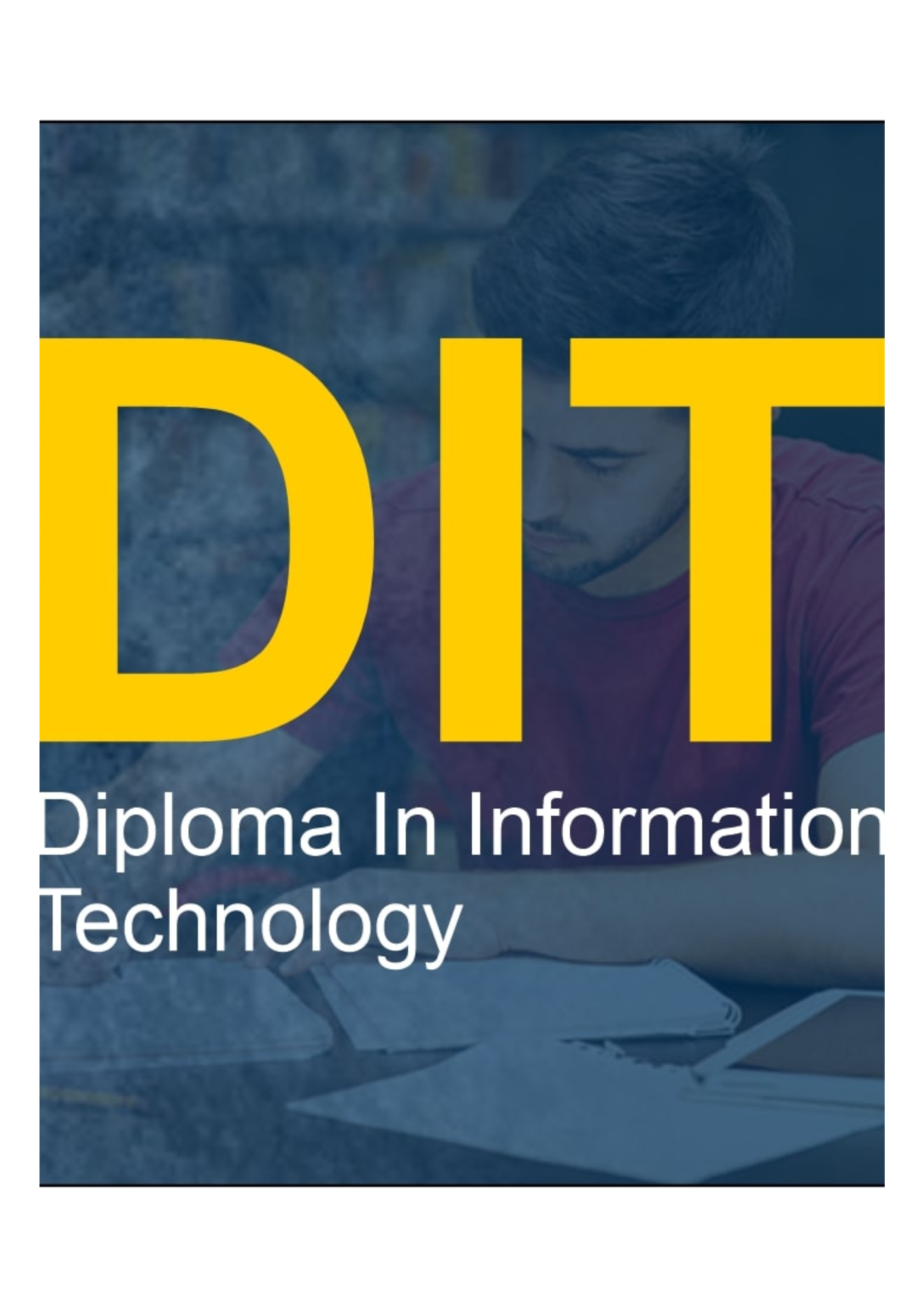 Diploma in Information Technology